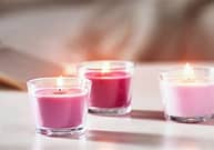 Liam Gatto Ontario Obituary, Death - GoFundMe Opened For Julia Gatto After Loss Of Son At Bath Public School